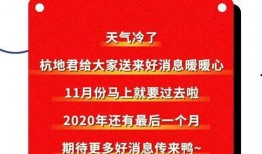 会城最新爆料消息新闻,揭秘重大新闻事件背后的真相